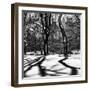 Shadows of Trees Play in Central Park Snow-Philippe Hugonnard-Framed Photographic Print
