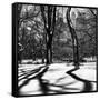 Shadows of Trees Play in Central Park Snow-Philippe Hugonnard-Framed Stretched Canvas