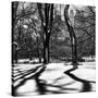 Shadows of Trees Play in Central Park Snow-Philippe Hugonnard-Stretched Canvas