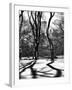 Shadows of Trees Play in Central Park Snow-Philippe Hugonnard-Framed Photographic Print