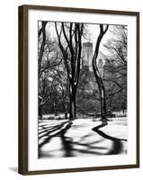 Shadows of Trees Play in Central Park Snow-Philippe Hugonnard-Framed Photographic Print