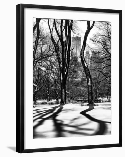 Shadows of Trees Play in Central Park Snow-Philippe Hugonnard-Framed Photographic Print