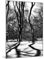 Shadows of Trees Play in Central Park Snow-Philippe Hugonnard-Mounted Photographic Print