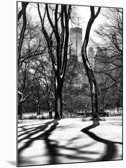 Shadows of Trees Play in Central Park Snow-Philippe Hugonnard-Mounted Photographic Print