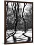 Shadows of Trees Play in Central Park Snow-Philippe Hugonnard-Framed Photographic Print