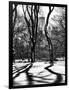 Shadows of Trees Play in Central Park Snow-Philippe Hugonnard-Framed Photographic Print