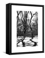 Shadows of Trees Play in Central Park Snow-Philippe Hugonnard-Framed Stretched Canvas