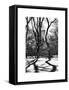 Shadows of Trees Play in Central Park Snow-Philippe Hugonnard-Framed Stretched Canvas