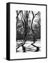 Shadows of Trees Play in Central Park Snow-Philippe Hugonnard-Framed Stretched Canvas