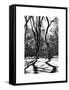 Shadows of Trees Play in Central Park Snow-Philippe Hugonnard-Framed Stretched Canvas