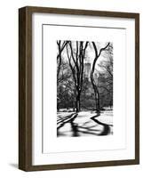 Shadows of Trees Play in Central Park Snow-Philippe Hugonnard-Framed Art Print