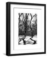 Shadows of Trees Play in Central Park Snow-Philippe Hugonnard-Framed Art Print