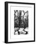 Shadows of Trees Play in Central Park Snow-Philippe Hugonnard-Framed Art Print