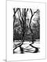 Shadows of Trees Play in Central Park Snow-Philippe Hugonnard-Mounted Art Print