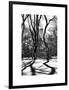 Shadows of Trees Play in Central Park Snow-Philippe Hugonnard-Framed Art Print