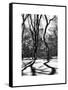 Shadows of Trees Play in Central Park Snow-Philippe Hugonnard-Framed Stretched Canvas