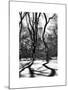 Shadows of Trees Play in Central Park Snow-Philippe Hugonnard-Mounted Art Print