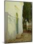 Shadows on a Wall in Corfu-John Singer Sargent-Mounted Giclee Print