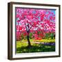 Shadows under a Blossoming Tree-Patty Baker-Framed Art Print