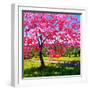 Shadows under a Blossoming Tree-Patty Baker-Framed Art Print