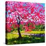 Shadows under a Blossoming Tree-Patty Baker-Stretched Canvas