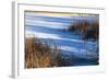 Shadows Upon Snow Covered Pond-Anthony Paladino-Framed Giclee Print