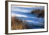 Shadows Upon Snow Covered Pond-Anthony Paladino-Framed Giclee Print