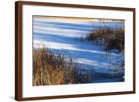 Shadows Upon Snow Covered Pond-Anthony Paladino-Framed Giclee Print