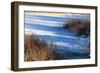 Shadows Upon Snow Covered Pond-Anthony Paladino-Framed Giclee Print