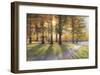 Shadows-Amanda Houston-Framed Giclee Print