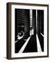 Shadows-Craig Roberts-Framed Photographic Print
