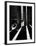 Shadows-Craig Roberts-Framed Photographic Print