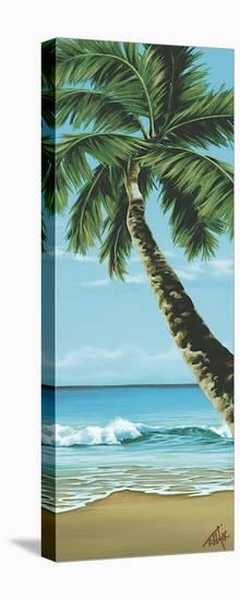 Shady Beach-Pete Tillack-Stretched Canvas