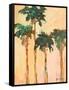 Shady Palms-Jane Slivka-Framed Stretched Canvas