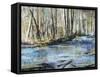 Shady River-Alexys Henry-Framed Stretched Canvas