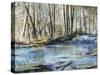 Shady River-Alexys Henry-Stretched Canvas