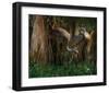 Shady Sandhill-Steve Hunziker-Framed Art Print