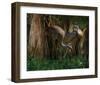 Shady Sandhill-Steve Hunziker-Framed Art Print