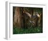 Shady Sandhill-Steve Hunziker-Framed Art Print