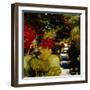 Shady Side-Lou Wall-Framed Giclee Print