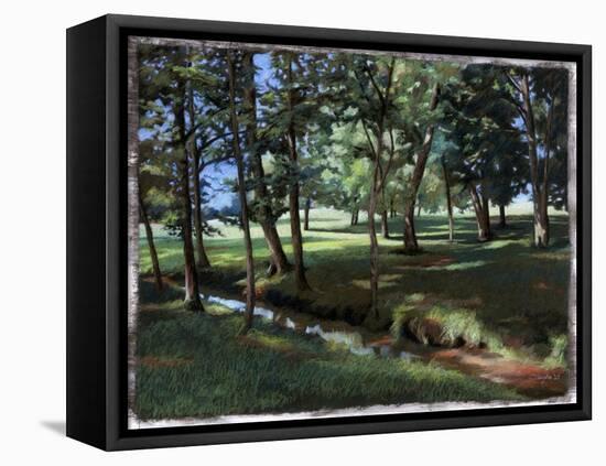 Shady Spot at the Botanical Gardens-Helen J. Vaughn-Framed Stretched Canvas