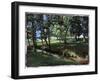 Shady Spot at the Botanical Gardens-Helen J. Vaughn-Framed Giclee Print