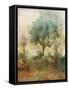 Shady Tree-Ken Roko-Framed Stretched Canvas