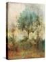 Shady Tree-Ken Roko-Stretched Canvas