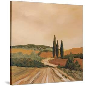 Shady Tuscan Fields-Jean Clark-Stretched Canvas