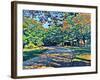 Shady View-Sarah Butcher-Framed Art Print