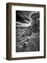 Shafer Canyon-Dean Fikar-Framed Photographic Print