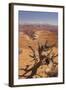 Shafer Trail Overlook, Canyonlands National Park, La Sal Mountains, Utah, Usa-Rainer Mirau-Framed Photographic Print