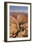 Shafer Trail Overlook, Canyonlands National Park, La Sal Mountains, Utah, Usa-Rainer Mirau-Framed Photographic Print