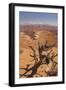 Shafer Trail Overlook, Canyonlands National Park, La Sal Mountains, Utah, Usa-Rainer Mirau-Framed Photographic Print